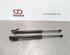 Bootlid (Tailgate) Gas Strut Spring TOYOTA AURIS (_E18_), TOYOTA AURIS Estate (_E18_)