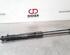 Bootlid (Tailgate) Gas Strut Spring CITROËN C3 III (SX), CITROËN C3 II (SC_)