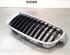 Radiateurgrille BMW 3 Touring (F31), BMW 3 Touring Van (F31), BMW 3 Touring Van (G21)