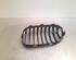 Radiator Grille BMW 1 (F20)