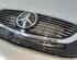 Radiateurgrille MERCEDES-BENZ EQC (N293)