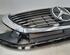 Radiator Grille MERCEDES-BENZ EQC (N293)