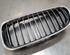 Radiator Grille BMW 3 Touring (E91)