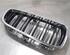 Radiator Grille BMW 4 Coupe (F32, F82)