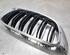 Radiator Grille BMW 4 Coupe (F32, F82)