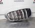 Radiator Grille BMW 4 Coupe (F32, F82)