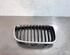 Radiator Grille BMW 1 (F20)