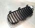 Radiator Grille BMW 3 (F30, F80)