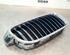 Radiator Grille BMW 3 (F30, F80)