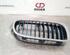 Radiator Grille BMW 3 (F30, F80)