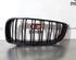 Radiator Grille BMW 4 Coupe (F32, F82)