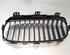 Kühlergrill BMW 2er Active Tourer F45 51137379610 P16360473