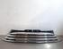 Radiator Grille MINI MINI (R56)