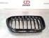 Kühlergrill BMW 1er F20 371688 P16543479