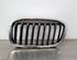 Radiateurgrille BMW 2 Gran Tourer (F46)