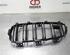 Radiator Grille BMW 3 (F30, F80)