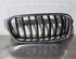 Radiateurgrille BMW 3 Touring (F31), BMW 3 Touring Van (F31), BMW 3 Touring Van (G21)