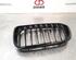 Radiator Grille BMW 1 (F20)