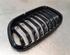 Radiator Grille BMW 1 (F20)