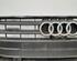 Radiateurgrille AUDI A7 Sportback (4KA)