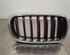 Radiator Grille BMW X5 (F15, F85)