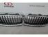 Radiateurgrille BMW 4 Convertible (F33, F83)