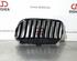 Radiator Grille BMW 2 Active Tourer (F45)