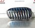 Radiator Grille BMW 2 Active Tourer (F45)