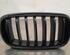 Radiateurgrille BMW X5 (F15, F85)