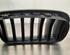 Radiateurgrille BMW X5 (F15, F85)