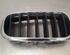 Radiator Grille BMW X6 (F16, F86)