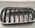 Radiator Grille BMW X1 (F48), MINI MINI COUNTRYMAN (F60)