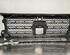 Radiator Grille MERCEDES-BENZ G-CLASS (W463), MERCEDES-BENZ G-CLASS (W461)