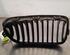 Radiator Grille BMW 1 (F20)