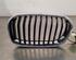 Radiator Grille BMW 1 (F20)