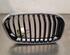 Radiateurgrille BMW 1 (F20)