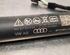 Motor Achterklep AUDI Q5 Sportback (FYT)