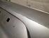 Bumper RENAULT CLIO V (B7_)