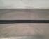 Trim Strip Bumper BMW 1 (F21)