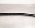 Trim Strip Door BMW X5 (G05, F95)