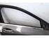 Door MERCEDES-BENZ A-CLASS (W176)