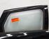 Door SUZUKI BALENO (FW, EW)