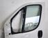 Door FIAT DUCATO Van (250_, 290_), FIAT DUCATO Bus (250_, 290_)