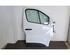 Door RENAULT TRAFIC III Van (FG_)