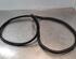 Door Seal HYUNDAI i20 III (BC3, BI3)