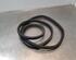 Door Seal HYUNDAI i20 III (BC3, BI3)