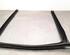 Door Seal MERCEDES-BENZ GLE (V167), MERCEDES-BENZ GLE Coupe (C167)