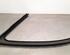 Door Seal MERCEDES-BENZ GLE (V167), MERCEDES-BENZ GLE Coupe (C167)