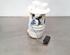 Fuel Pump RENAULT CLIO V (B7_)