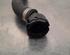 Radiator Hose BMW 4 Coupe (F32, F82)